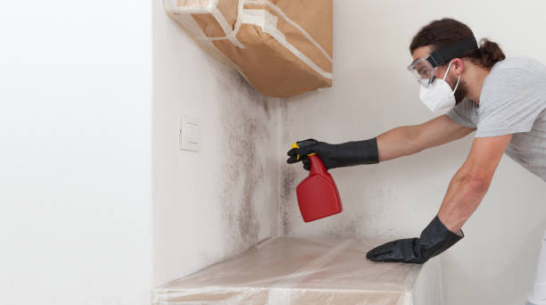 Professional Black Mold Remediation technician working in Garden City, NY