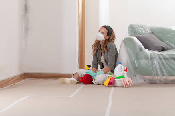 Reliable Black Mold Remediation contractor in Garden City, NY by 24 Hour Mold Removal